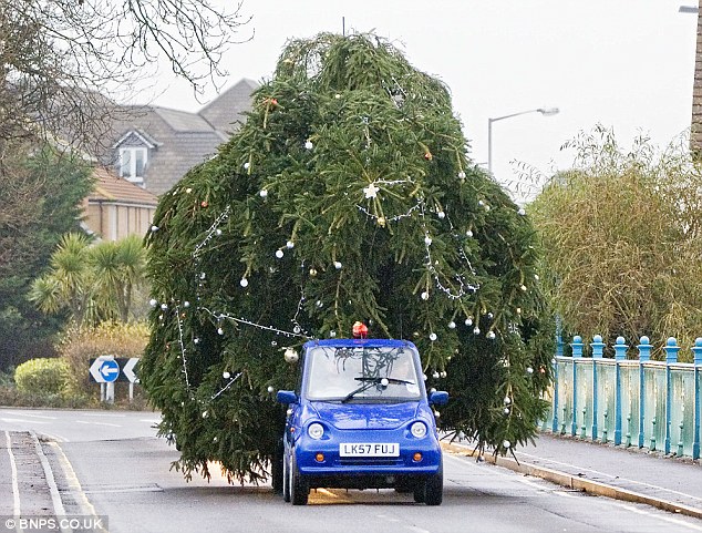 Christmas Tree with G-Wiz!